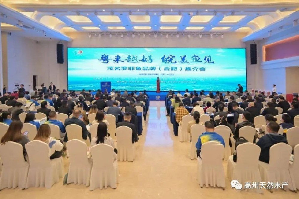 “粵來(lái)越好 皖美魚(yú)見(jiàn)”-----茂名“一條魚(yú)”（羅非魚(yú)）引爆安徽商圈！