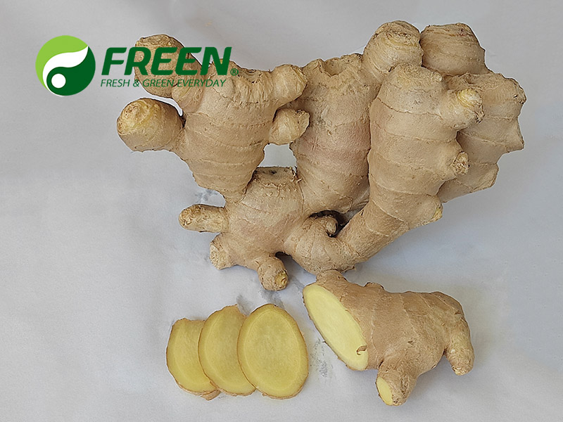 1706064661103091.jpg 微信圖片_20210916145355.jpg