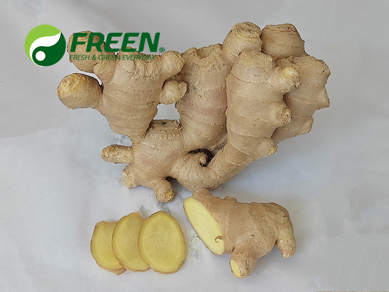 1706064665293089.jpg 微信圖片_20210916145409.jpg