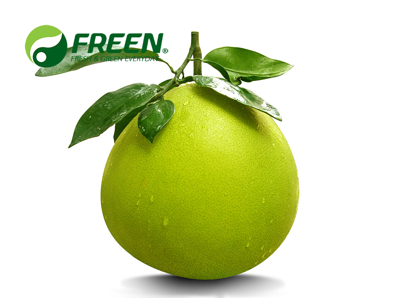 1706064819535315.jpg Honey Pomelo.jpg