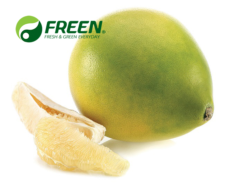 1706064824128708.jpg 柚子.jpg